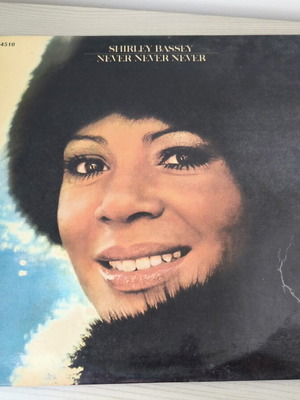 Never Never Never vinyl record used
