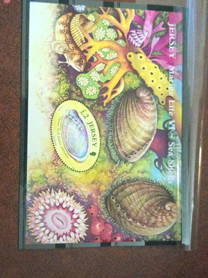 Jersey Mini Stamp Sheet MS1270 unsealed, Marine Life VI Sea Shells