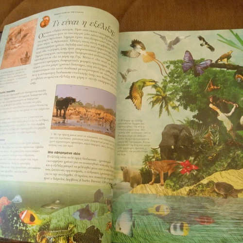The Book of Evolution Stephen Webster like new