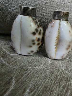 Salt and pepper set made of natural shell like new