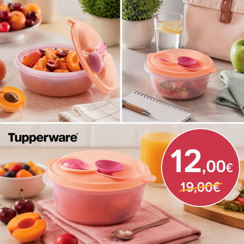 Tupperware Picnic Bowl with Spoon 600ml, new