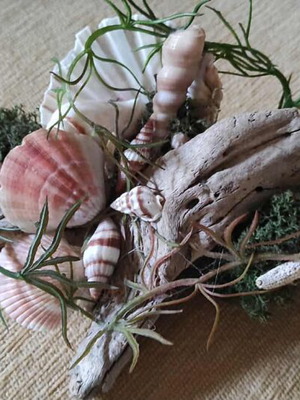Handmade decoration on natural sea-washed wood new