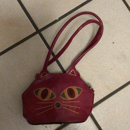 Cat bag used
