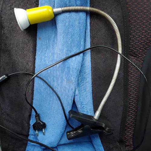 Lamp with flexible arm