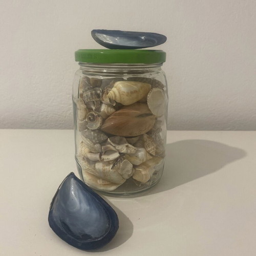 Large vase with seashells like new for decoration and crafts
