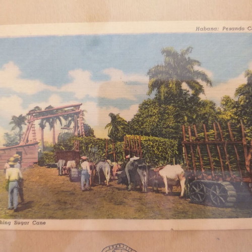 Framed print with vintage sugar cane weighing image in Havana used