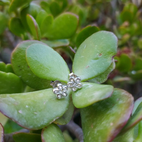 Silver 925 earrings with different clasp