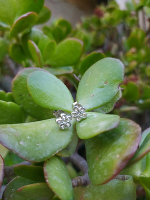 Silver 925 earrings with different clasp