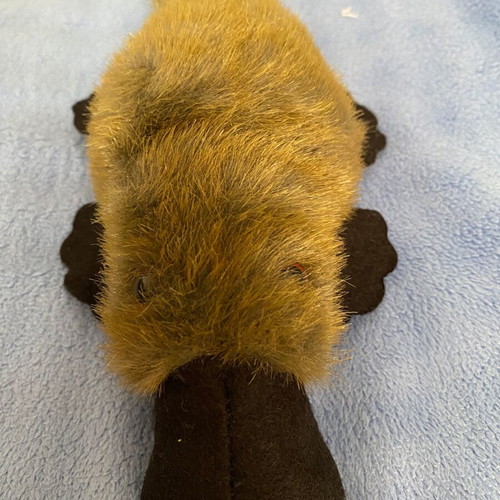 Plush Platypus Toy new in gift tin from Australia