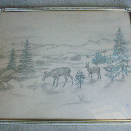 Vintage drawing with metal frame and glass used, signed