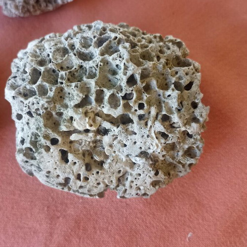 Set of 3 Authentic Marine Decor Corals