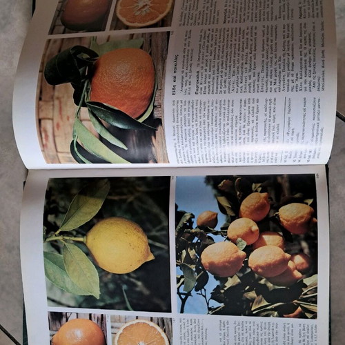 The Wonderful World of Plants used volumes 1 & 3, vegetables and fruits