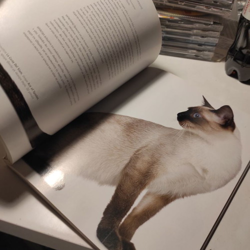 Cats breeds, care, behavior like new book