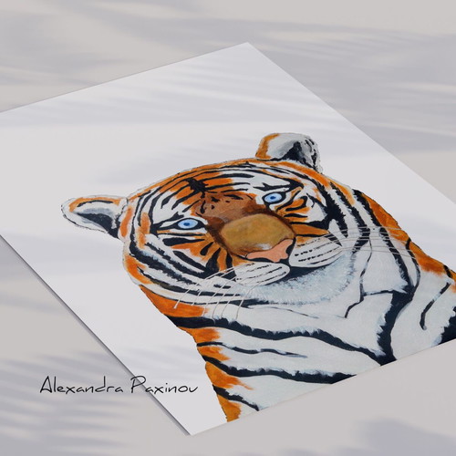 Set of three prints Tiger, Leopard, Lion new
