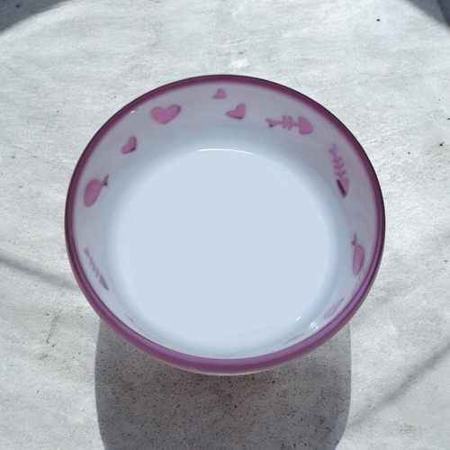 Cat and dog bowl with non-slip base new