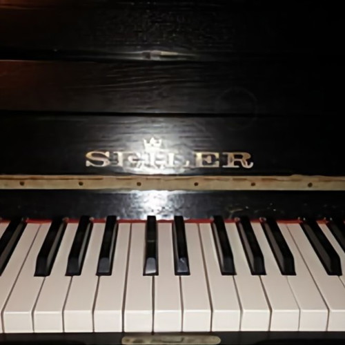 Seiler Upright Piano used, 20 years old, rich sound