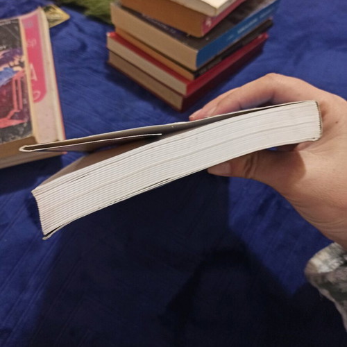 The Prophecies of the Maya used book