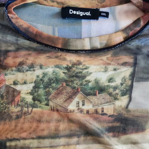 Desigual Top like new with see-through texture and artistic print XXL