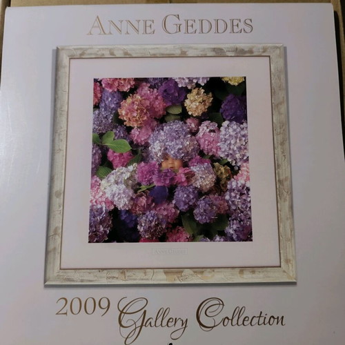 Anne Geddes 2009 calendar like new with photographic material