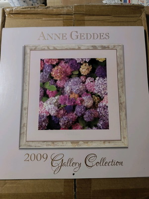 Ημερολόγιο 2009 Anne Geddes σαν καινούργιο με φωτογραφικό υλικό