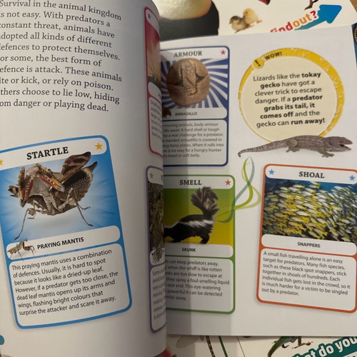 DK Findout set of books about animals, birds, bugs and reptiles brand new