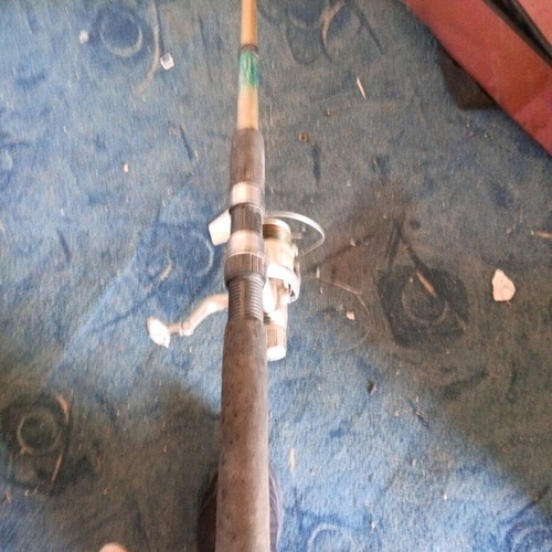 Fishing rod with reel used for fishing