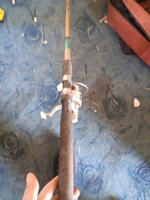 Fishing rod with reel used for fishing