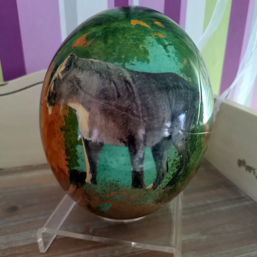 Ostrich Egg from South Africa like new with gold leaf and detailed colors