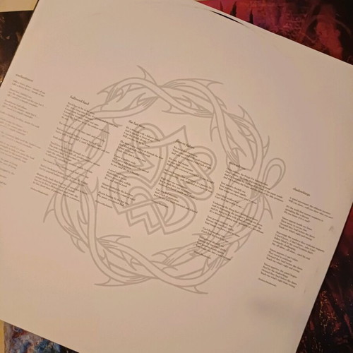 Paradise Lost Draconian Times double LP used, metal