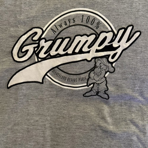 Disneyland Resort Paris Grumpy T-Shirt size M like new, grey