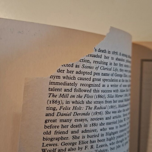 The Mill on the Floss novel used, English