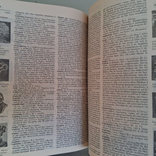 Papyrus Encyclopedic and Linguistic Dictionary used, two volumes