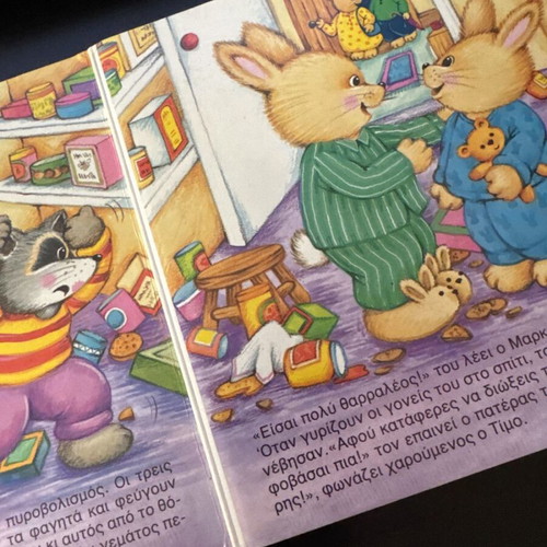 Children's book The Shy Little Bunny like new