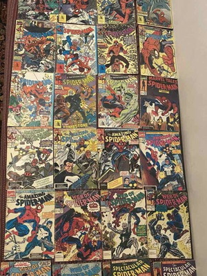 Spiderman Kamvanas editions, pack of 28 issues