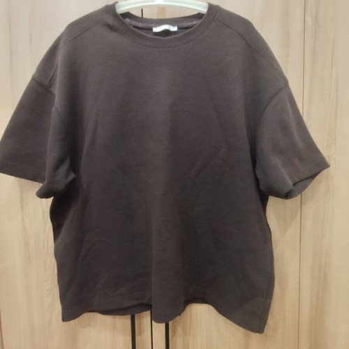 Zara brown oversized short-sleeve sweatshirt T-shirt, size L
