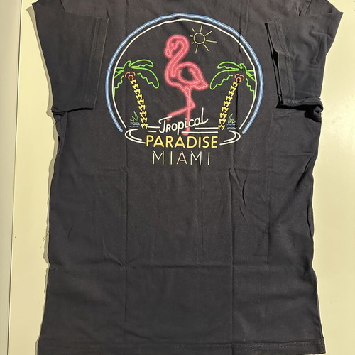 T-shirt Miami H&M used, size small, blue