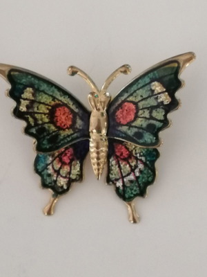 Butterfly pin used, width 3.5 cm