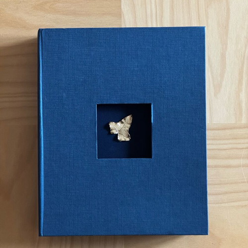 Luxury photo album new with 24K gold detail