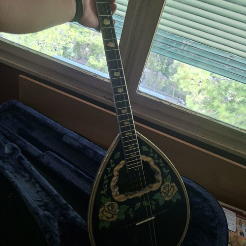 Bouzouki 8-string new with pickup and case by Stamkos