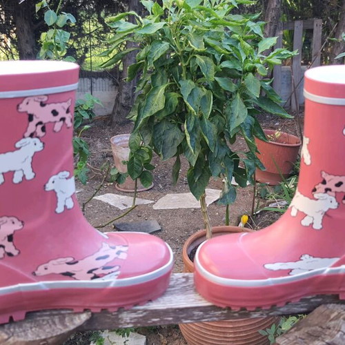 Children's rain boots new no 24 with lining