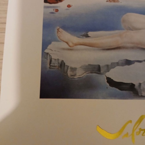 Salvador Dali Dream Caused by the Flight of a Bee 1992 print