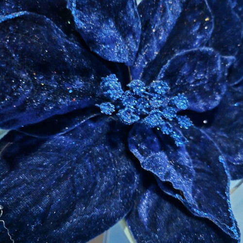 Christmas flowers used, dark blue decorations