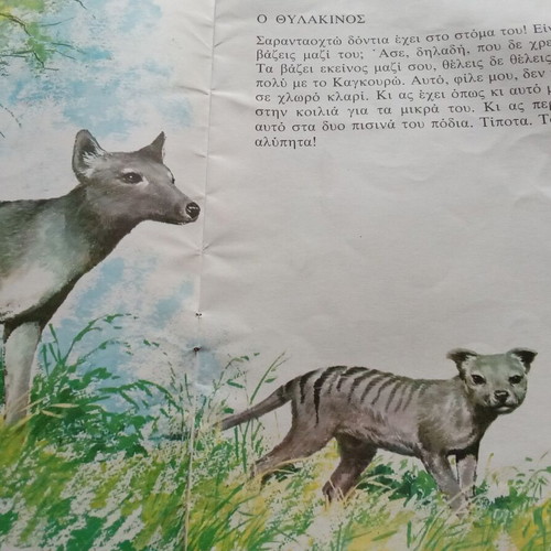 The World of Animals for Children used book