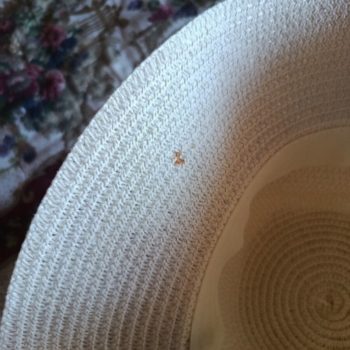 Women's straw hat used, size 54, white