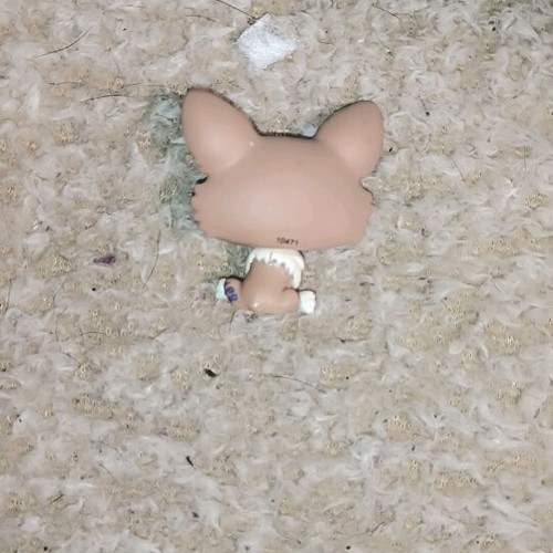 Littlest Pet Shop (LPS) Welsh Corgi dog like new #1864