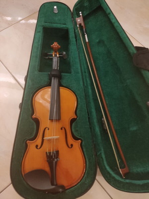Violin used for student