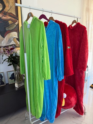 Carnaval costume from Sesam  Street + mascot