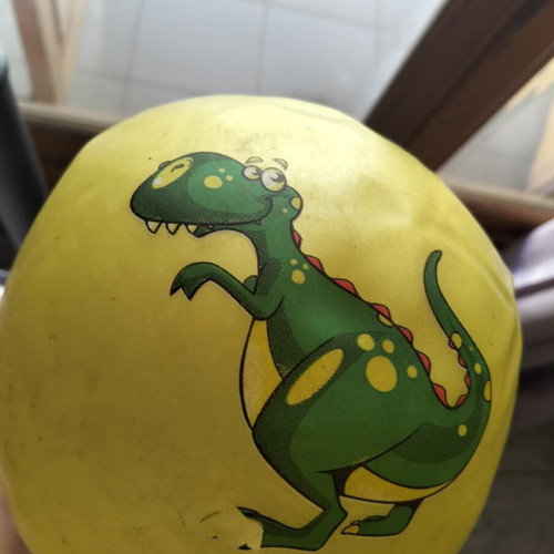 Dinosaur ball used