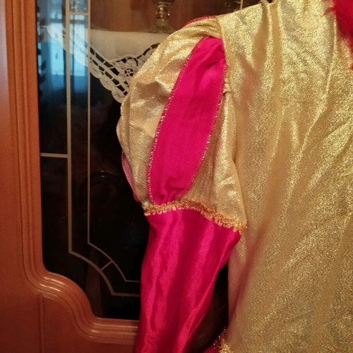 Carnival costume Queen size 10 like new