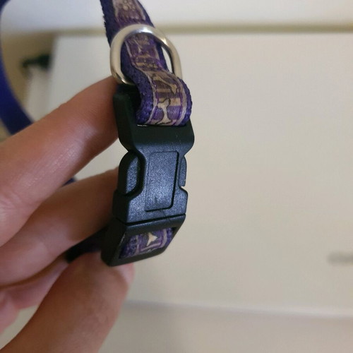 Dog leash used